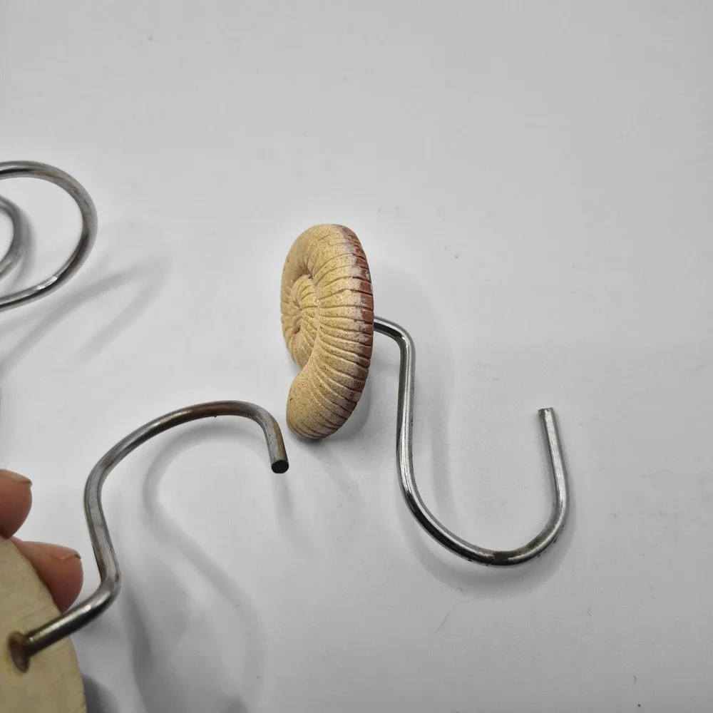 Sea‎ Shells Shower Curtain Hooks Set of 12 Ocean Beach House Cream Beige Tan